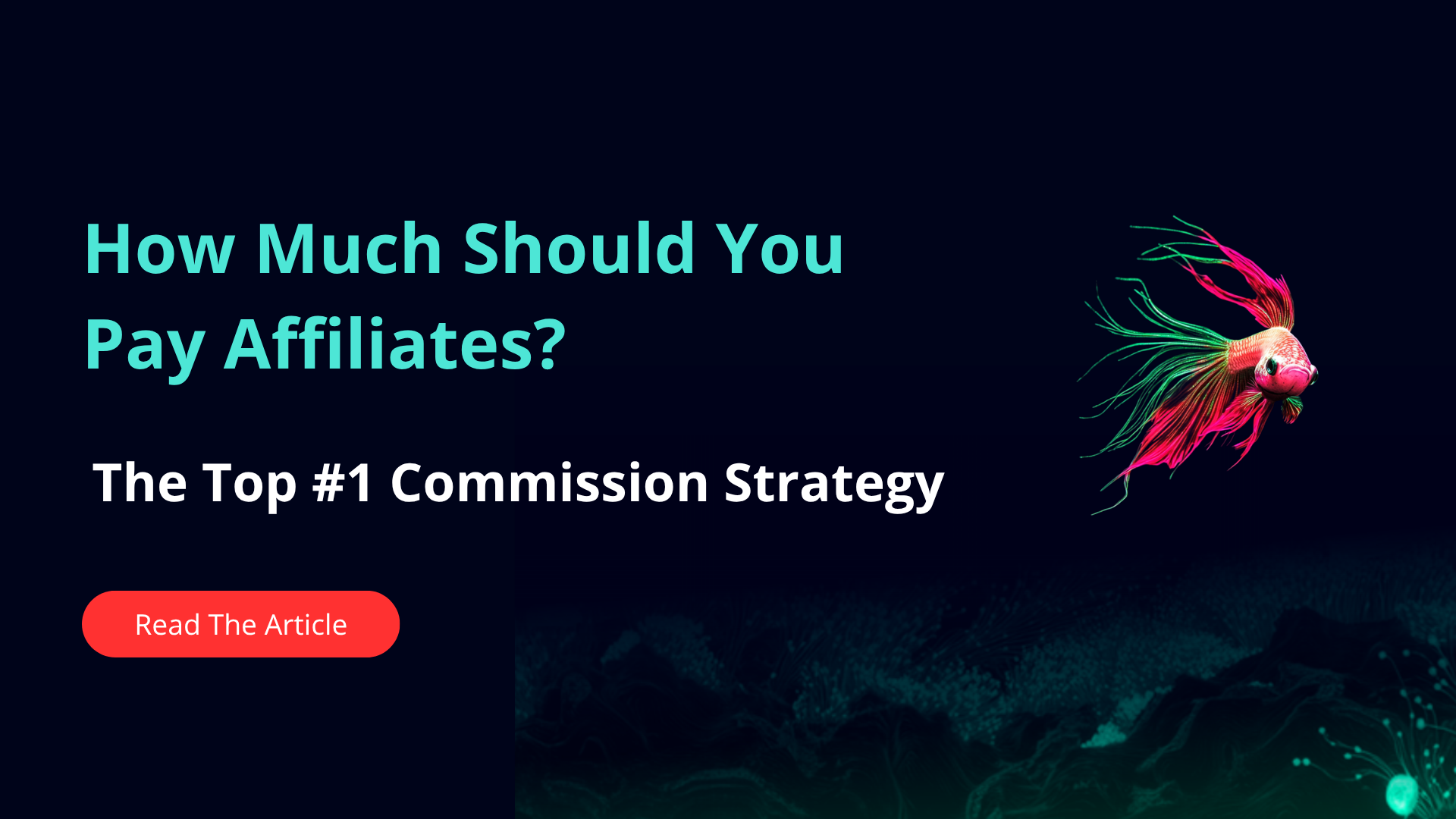 How Much Should You Pay Affiliates? The Top #1 Commission Strategy