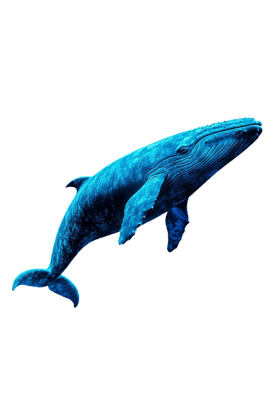 How To Find Your First Successful Affiliate