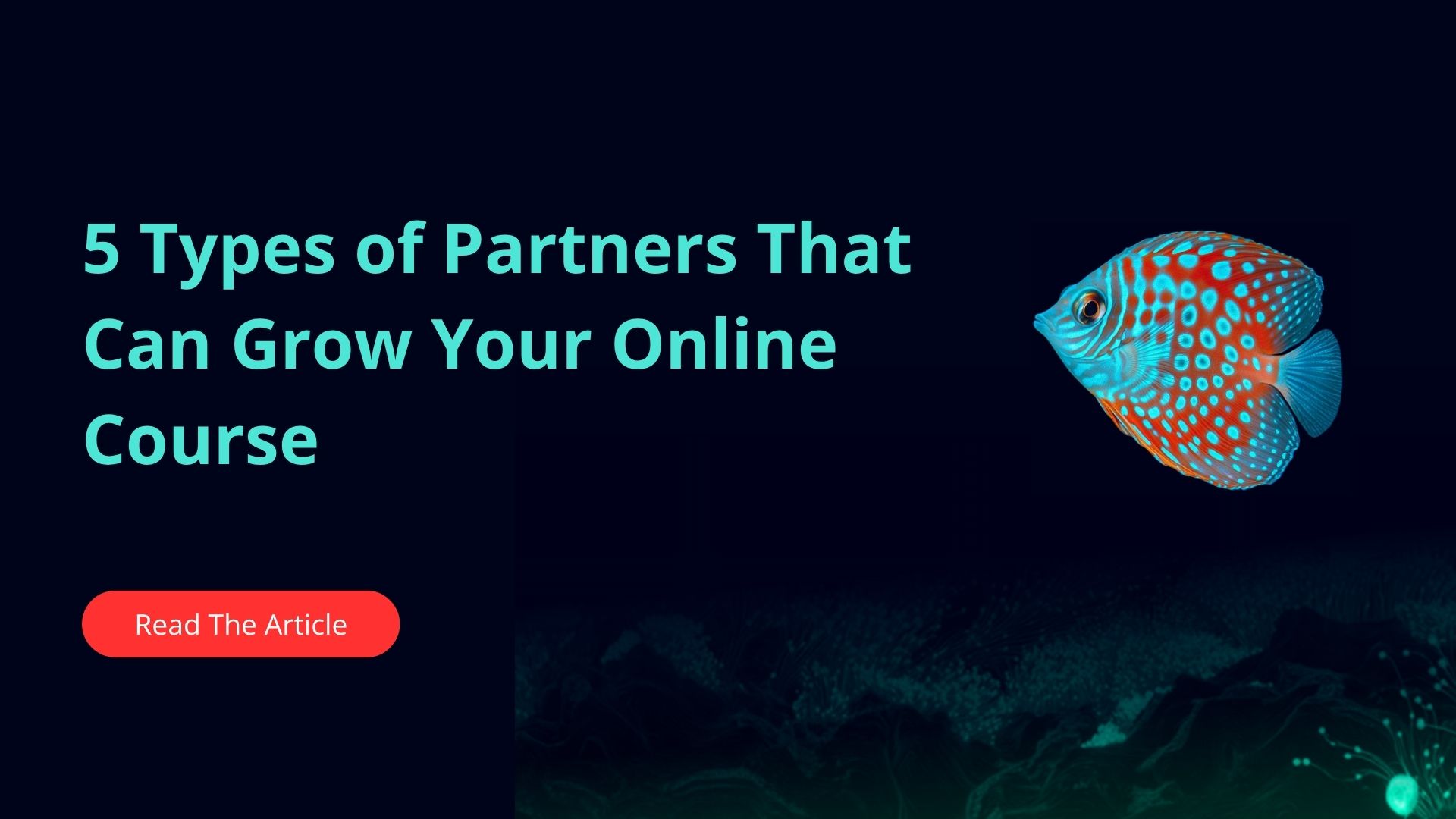 5 types of partners that can grow your online course